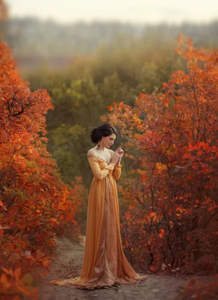 Sonbahar Doğa Turuncu Ormanlarında Yürüyen Fantezi Kadın Rönesans Tarzı Prenses — Stok fotoğraf