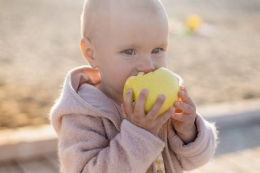 Toddler child eating apple on beach  clipart