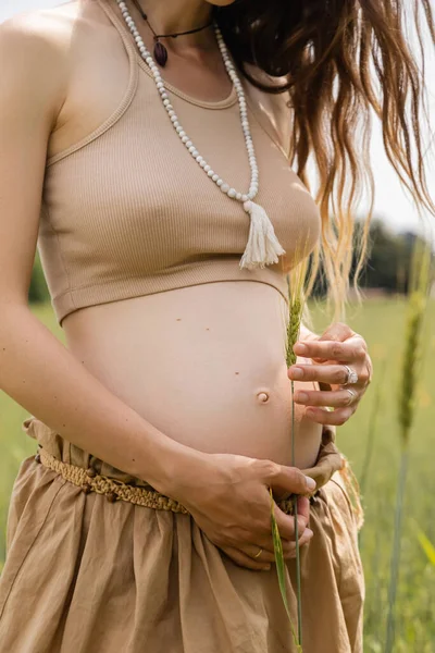 Vista Recortada Mujer Embarazada Sosteniendo Espiguilla Verde Cerca Del Vientre — Foto de Stock