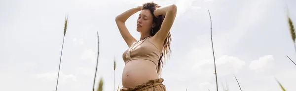 Low Angle View Pregnant Woman Touching Hair Field Banner — Stock Photo, Image