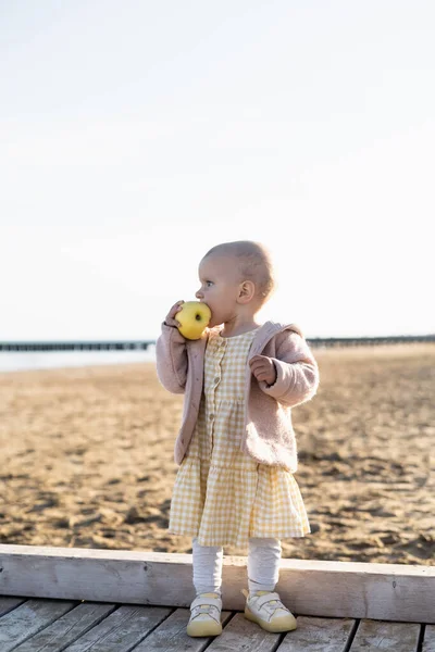 Вид сбоку на ребенка, держащего спелое яблоко на пляже в Италии — стоковое фото