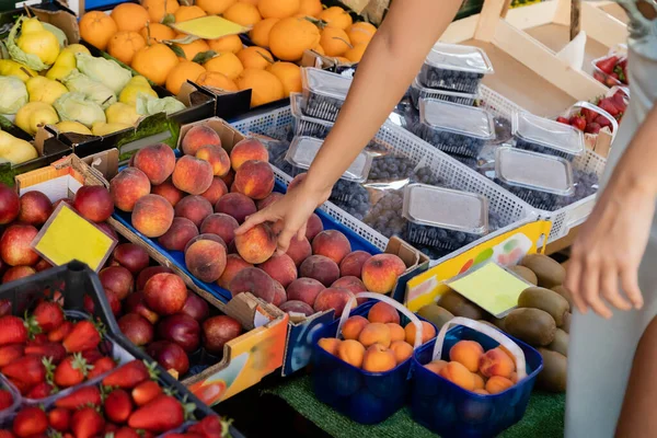 Cropped view of woman choosing fresh fruits on venetian food market — Stock Photo