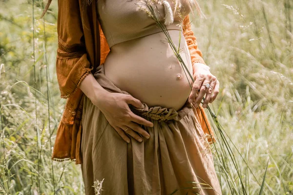 Vista recortada de la mujer embarazada sosteniendo vidrio en el campo - foto de stock