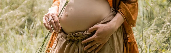 Cropped view of pregnant woman holding grass in summer field, banner — Stockfoto