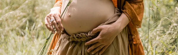 Cropped view of pregnant woman holding grass in summer field, banner — Foto stock