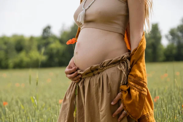 Vue recadrée de la femme enceinte tenant fleur de pavot dans un champ flou — Photo de stock