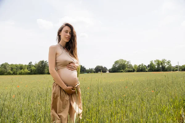 Беременная женщина трогает живот и смотрит в камеру в летнем поле — стоковое фото