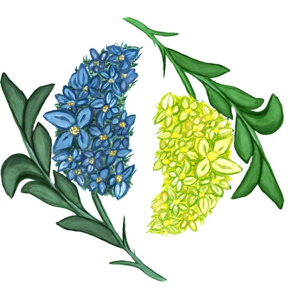 Watercolor illustration blue and yellow flowers with leaves.Isolated on white background.Design for wedding invitation, fabric, packaging, textile, cover, postcard, paper, greeting cards, blog. — Stock Photo, Image