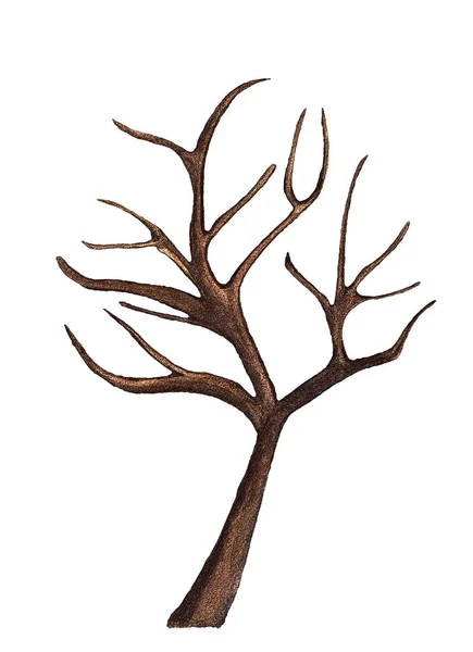 Beyaz arkaplanda izinleri olmayan suluboya çizim ağacı Telifsiz Stok Imajlar