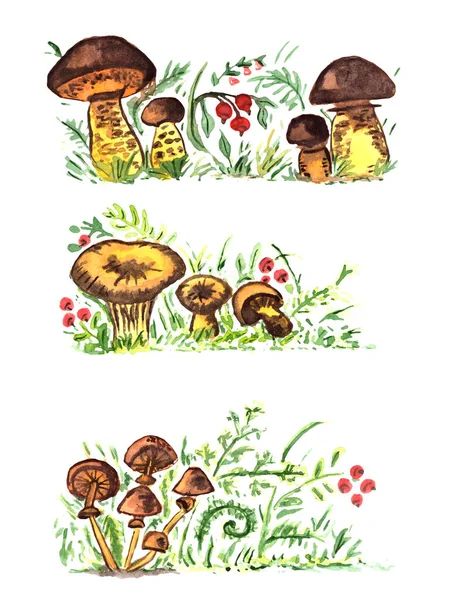 Watercolor Set Mushrooms Forest Grass Cranberry Isolated White Background — Stock Photo, Image