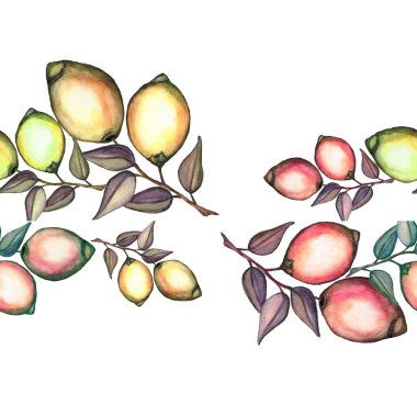 Elle çizilmiş dikişsiz suluboya desenli limon dalıyla. Çiçek deseni. Limon arkaplanı. Geçmiş, davetiyeler, kumaş ve tekstil için tebrik kartı olarak kullanılabilir..