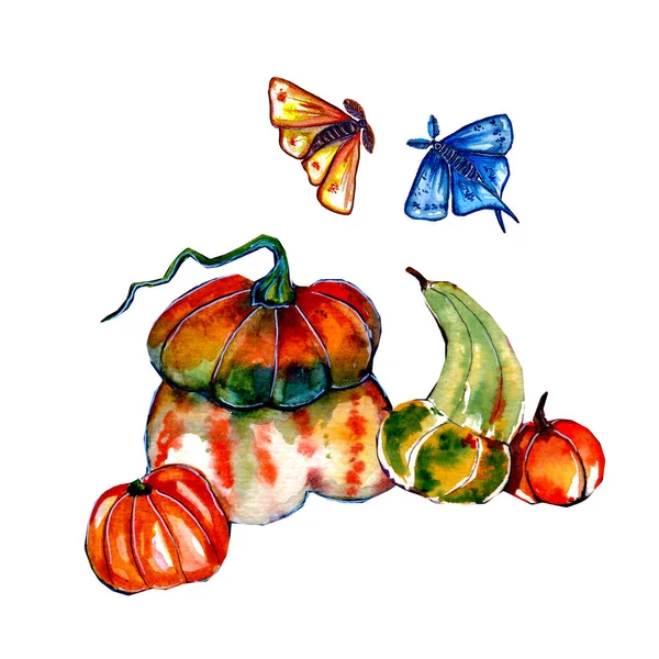 Watercolor Hand Drawn Illustrations Cartoon Pumpkins Hawkmoths Isolated White Background — Stockfoto