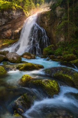 Gollinger Şelalesi, Salzburg yakınlarındaki Golling an der Salzach, Avusturya. Gollinger Wasserfall yosunlu kayalar ve yeşil ağaçlarla, Golling, Salzburger Land, Avusturya.