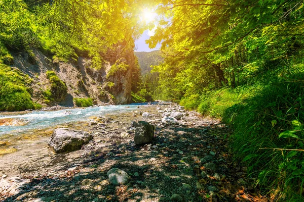 Долина Вімбахтал Берхтесгаденських Альпах Німеччина Річка Вімбах Національному Парку Берхтесгаден — стокове фото