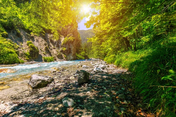 Wimbachtal Den Berchtesgadener Alpen Deutschland Wimbach Nationalpark Berchtesgaden Bayern Deutschland — Stockfoto