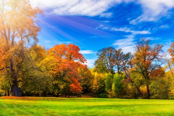 Autumn Scene Fall Red Yellow Trees Leaves Sun Light Beautiful — Stock Photo, Image