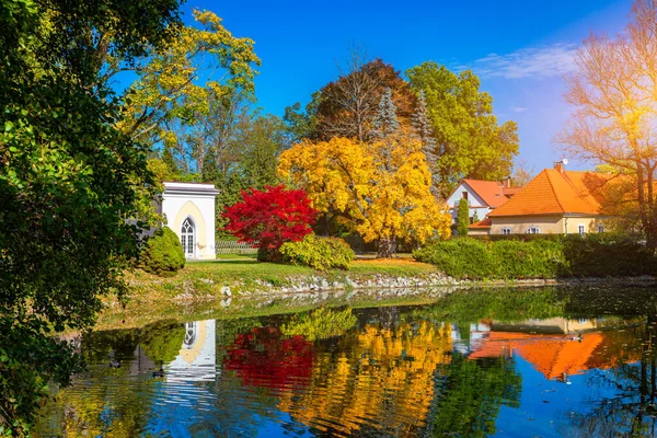 Sonbahar sahnesi, sonbahar, kırmızı ve sarı ağaçlar ve güneş ışığında yapraklar. Sarı ağaçlar ve güneşli güzel sonbahar manzarası. Parkta renkli yapraklar, düşen yapraklar doğal arkaplan