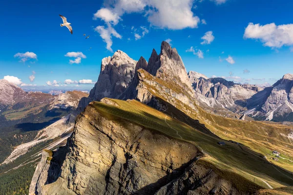 Vista Seceda Con Uccelli Che Sorvolano Cime Trentino Alto Adige — Foto Stock