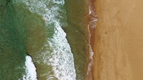 Ocean View Beach Ocean Beach Beautiful Landscape Travel Vacation Aerial — Vídeo de Stock
