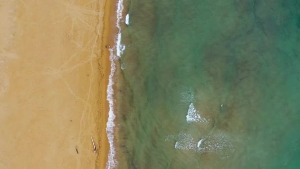 Ocean View Beach Ocean Beach Beautiful Landscape Travel Vacation Aerial — Vídeos de Stock