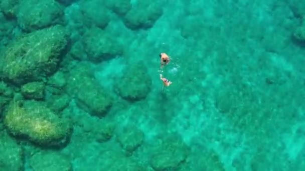 Widok Powietrza Młodej Pary Nurkującej Nad Rafą Koralową Docierającej Głębszych — Wideo stockowe
