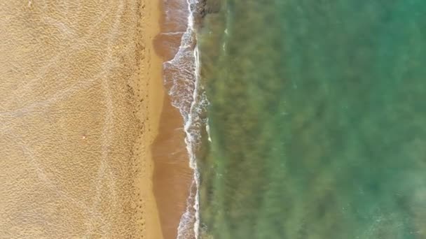 Ocean View Beach Ocean Beach Beautiful Landscape Travel Vacation Aerial — Wideo stockowe