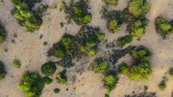 Vue Aérienne Des Drones Sur Les Dunes Sable Près Lac — Video