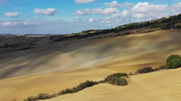 Gröna Kullar Olivträdgårdar Och Liten Vingård Strålar Morgonsol Italien Toscana — Stockvideo