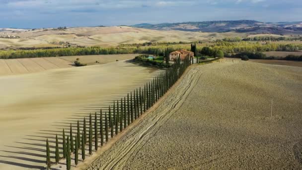 Grüne Hügel Olivenhaine Und Kleine Weinberge Unter Der Morgensonne Italien — Stockvideo