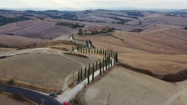 Groene Heuvels Olijfgaarden Kleine Wijngaarden Onder Stralen Van Ochtendzon Italië — Stockvideo