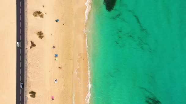 Widok Powietrza Plażę Corralejo Park Fuerteventura Wyspy Kanaryjskie Plaża Corralejo — Wideo stockowe