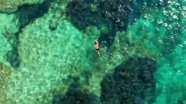 Flygfoto Oigenkännliga Människor Som Snorklar Ovanför Korallrevet Och Når Djupare — Stockvideo