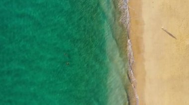 Fuerteventura adasında Morro del Jable kasabasında plaj havadan görünümü (Morro Jable plaj), Kanarya Adaları, İspanya. Kanaryalar'ın en iyi plajlarından biri. Mesafede motorral deniz feneri.