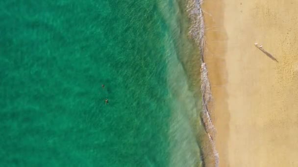 Widok Plażę Morro Del Jable Plaża Morro Jable Wyspie Fuerteventura — Wideo stockowe