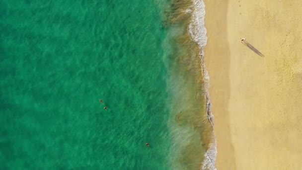 Flygfoto Över Vandrande Människor Den Vita Sandstranden Nära Havet Med — Stockvideo