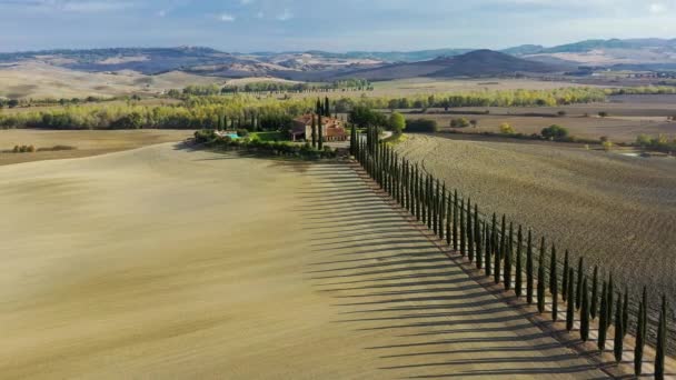 Gröna Kullar Olivträdgårdar Och Liten Vingård Strålar Morgonsol Italien Toscana — Stockvideo