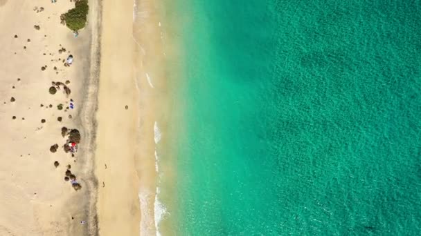 Spanya Nın Fuerteventura Kanarya Adası Ndaki Costa Calma Altın Kum — Stok video