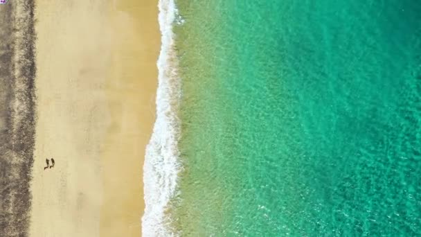 Flygfoto Över Vandrande Människor Den Vita Sandstranden Nära Havet Med — Stockvideo