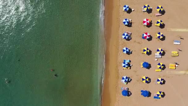 夏休みの概念 上からの眺め ビーチの傘とターコイズブルーの澄んだ水がある素晴らしいビーチの素晴らしい空中ビュー 砂浜の傘の下のサンラウンジャーの上からの眺め — ストック動画