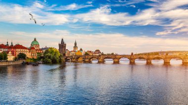 Prag 'daki Vltava nehrinin üzerinde Çek Cumhuriyeti' nin martılı Charles Köprüsü. Prag ikonu Charles Bridge (Karluv Most) ve Eski Şehir Köprüsü Kulesi, Çek Cumhuriyeti.
