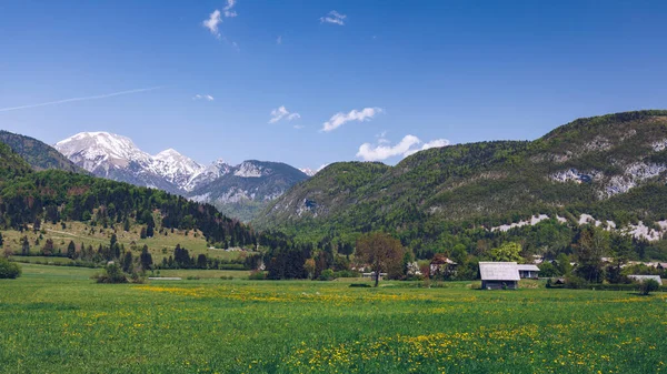 Colorido Verano Pueblo Stara Fuzina Parque Nacional Triglav Eslovenia Alpes — Foto de Stock