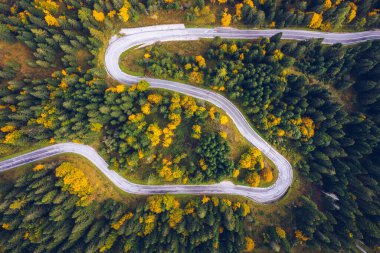 Ormandaki eğri büğrü yol. Bir yolun havadan görüntüsü. Forrest modeli. Sonbaharda insansız hava aracından görülen manzaralı kıvrımlı bir yol. Zig zag kıvrımlı dağ yolu, insansız hava aracı görüntüsü..