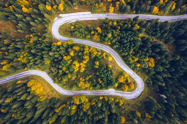Curved bending road in the forest. Aerial image of a road. Forrest pattern. Scenic curvy road seen from a drone in autumn. Aerial top down view of zig zag winding mountain road, drone shot.