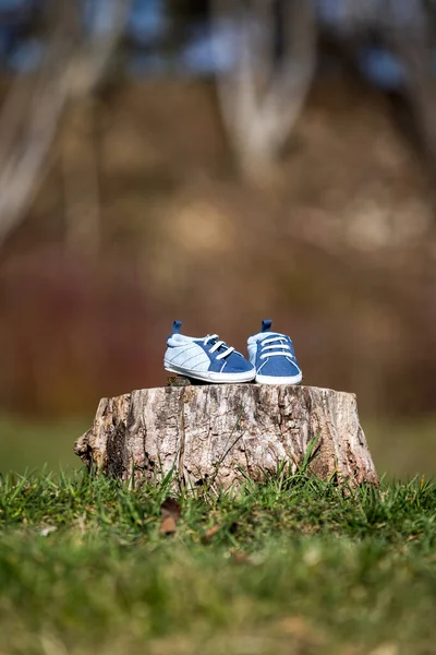 Junges Paar Wartet Auf Baby Werdende Eltern Mit Kleinen Babyschuhen Stockfoto