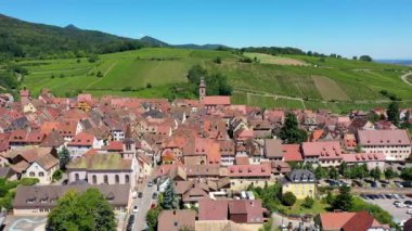 Riquewihr köyü manzarası ve Fransa 'nın Alsatian Şarap Yolu' ndaki üzüm bağları. Fransa 'nın en güzel köyleri, Alsace' ın Riquewihr 'i, ünlü 