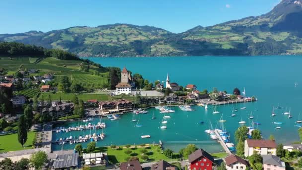 位于瑞士伯尔尼州图恩湖畔的斯皮兹教堂和城堡的空中全景 日落时分 瑞士斯皮兹 瑞士伯尔尼州图恩湖上的斯皮兹城堡 — 图库视频影像