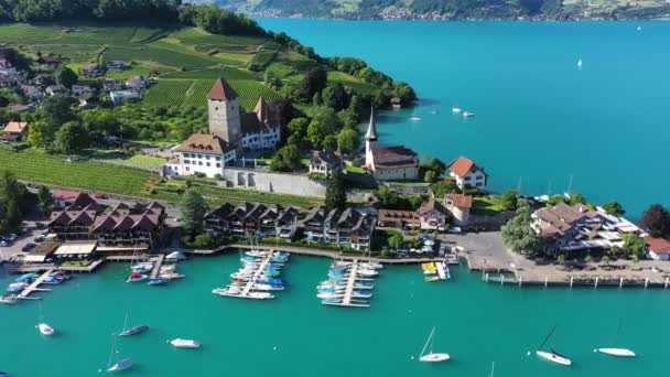 Letecký Panoramatický Výhled Spiez Kostel Hrad Břehu Jezera Thun Švýcarském — Stock video