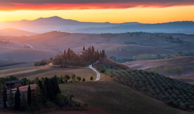 Tanınmış Toskana manzarası tahıl tarlaları, selvi ağaçları ve gün batımında tepelerde evler. Tuscany, İtalya ve Avrupa 'da kıvrımlı yolu olan yaz kırsal arazisi