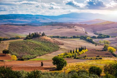 Tanınmış Toskana manzarası tahıl tarlaları, selvi ağaçları ve gün batımında tepelerde evler. Tuscany, İtalya ve Avrupa 'da kıvrımlı yolu olan yaz kırsal arazisi
