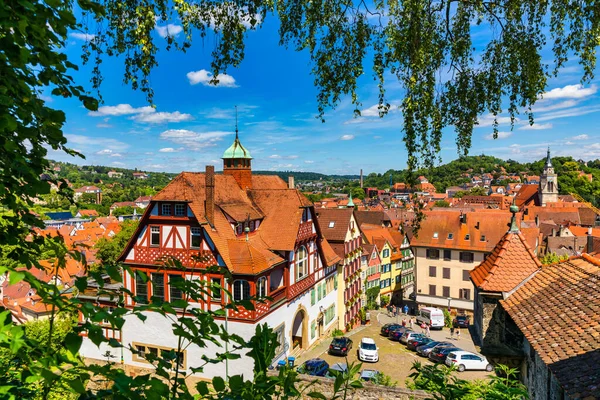 Beautiful Floral Colorful Town Tubingen Germany Baden Wurttemberg Houses River — Stockfoto